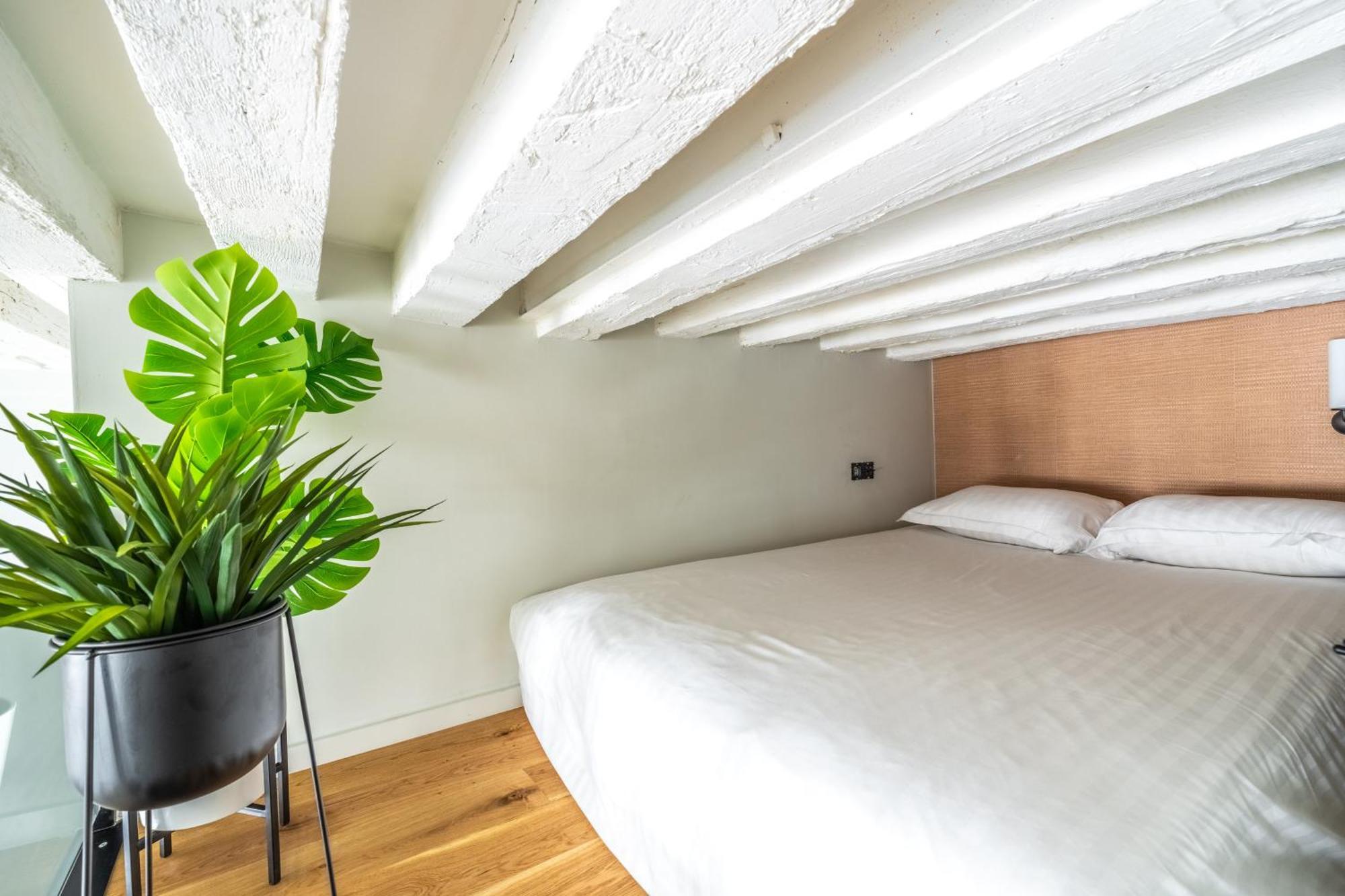 Luxury Apartement, Center Of Appartamento *